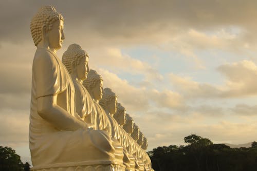 Foto profissional grátis de brasil, brazil, Buda