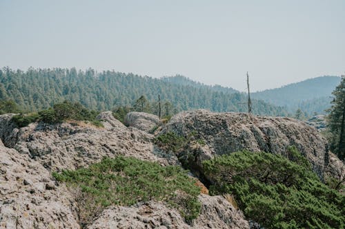 A mountain with rocks and trees in the background