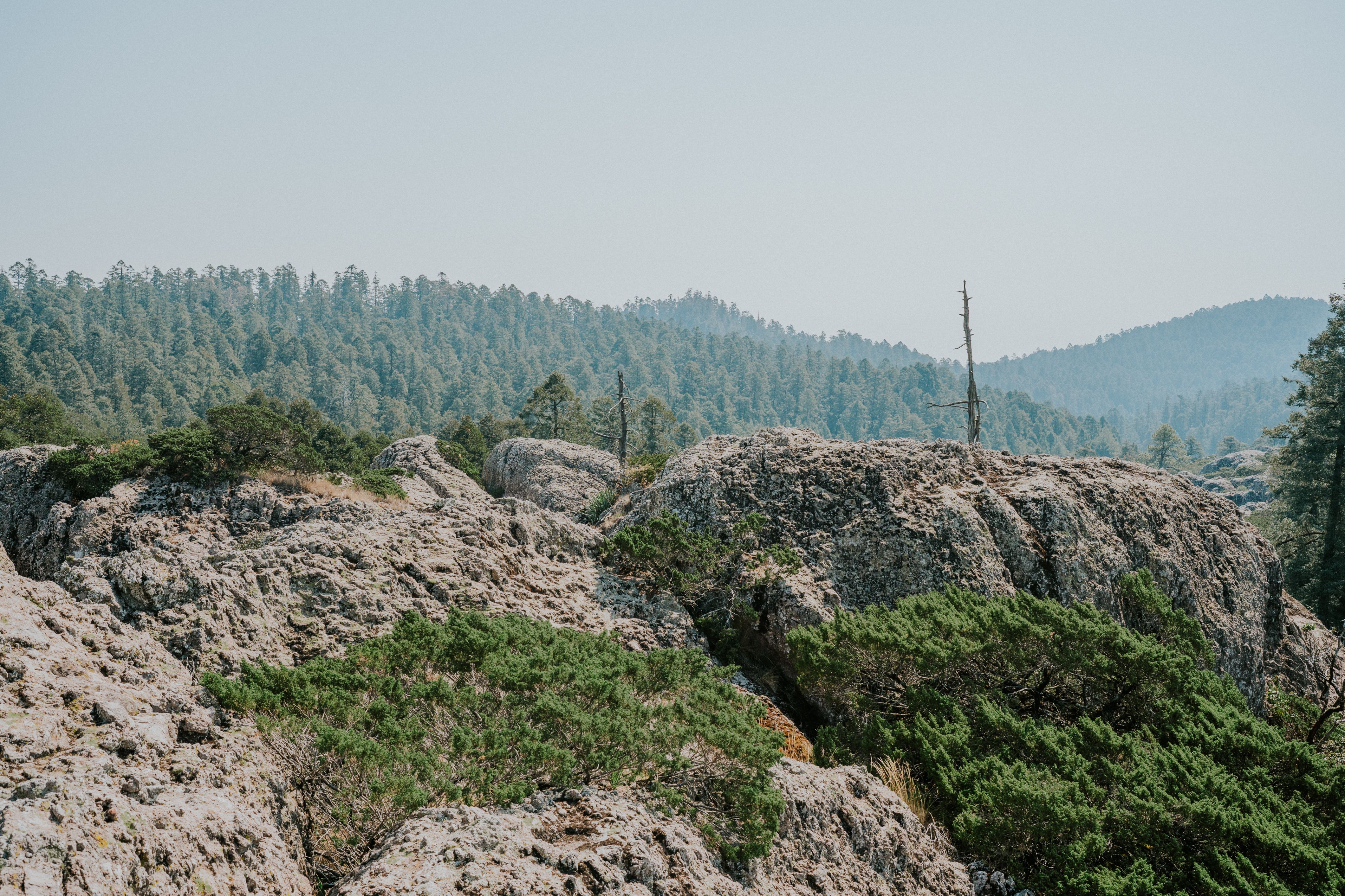 Rocks and Forest Landscape · Free Stock Photo