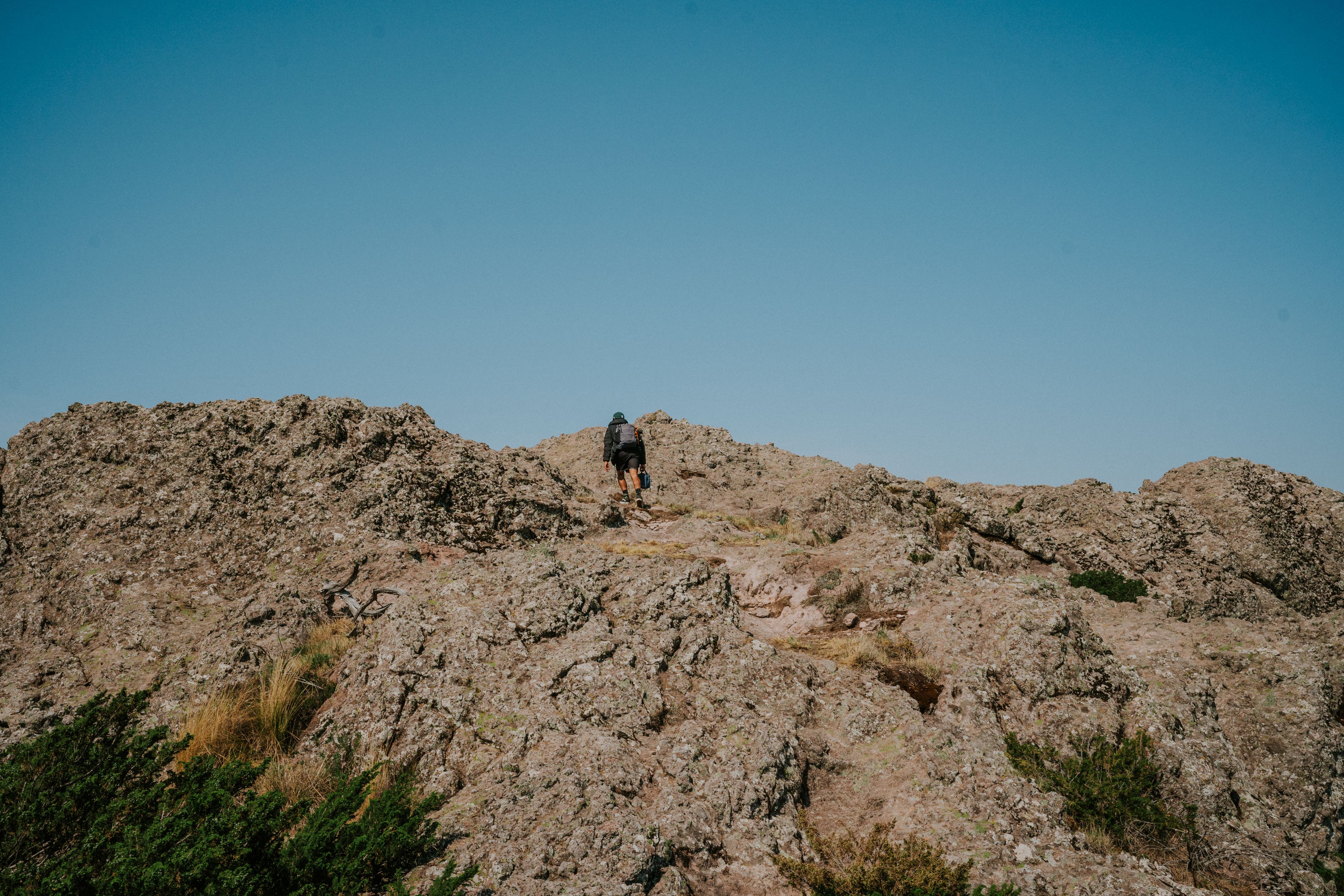 Tiny flowers, huge detail: how to stay steady on a trail — three small changes that matter a lot