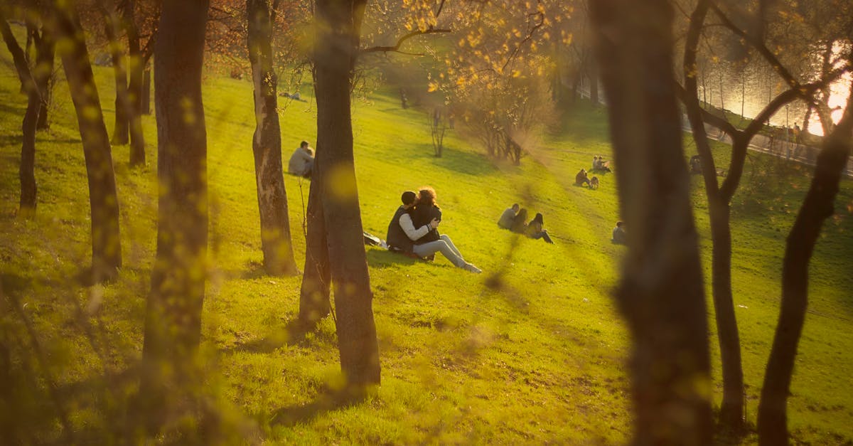 Free stock photo of couple, grass, green
