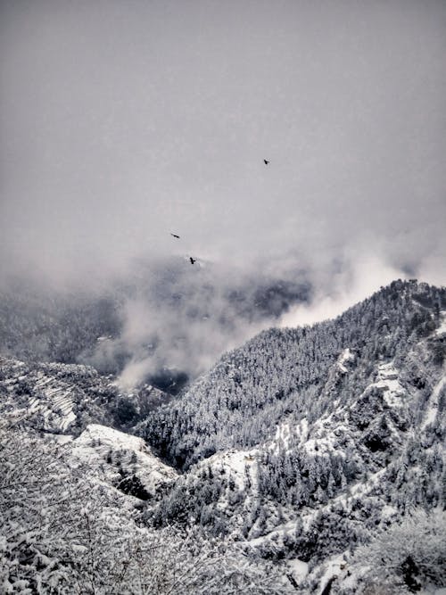 Grayscale Photo of Mountains