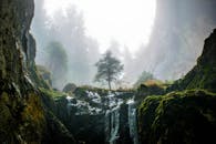 云雾缭绕的森林峡谷中，迷人的瀑布流经苔藓覆盖的岩石