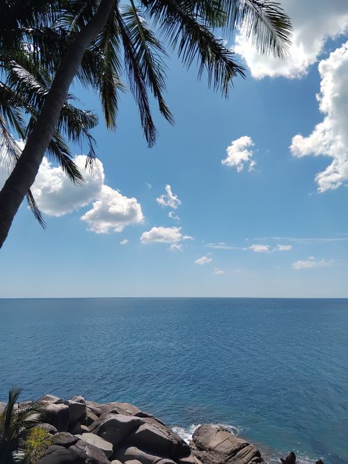 Free Serene coastal scene with palm trees, ocean, and bright blue skies, perfect for travel inspiration. Stock Photo