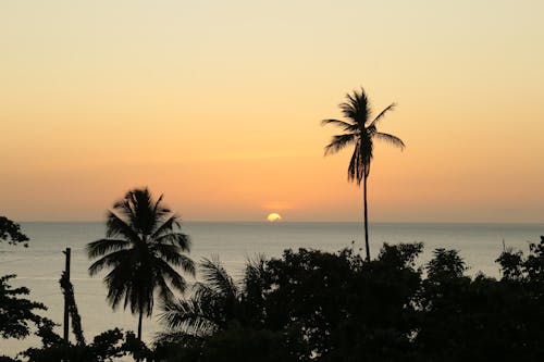 インスタグラム, ビーチの夕日, ビーチの背景の無料の写真素材