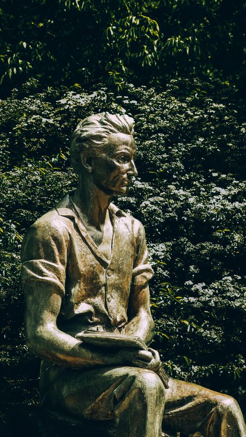 Free A bronze statue of a man surrounded by lush greenery in a sunlit garden, creating a serene scene. Stock Photo