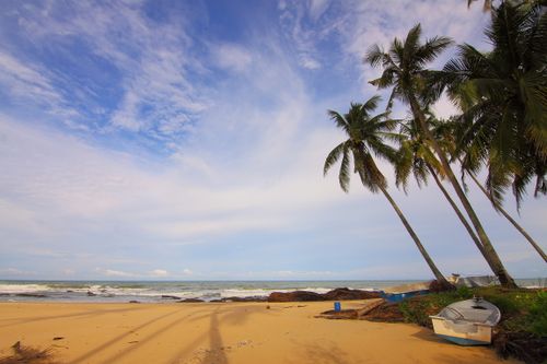 Free Serene tropical beach with palm trees, boat, and clear sky. Perfect for travel and nature themes. Stock Photo