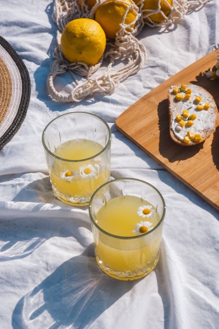 Enjoy a sunny picnic with fresh lemonade and chamomile bread on a cozy blanket.