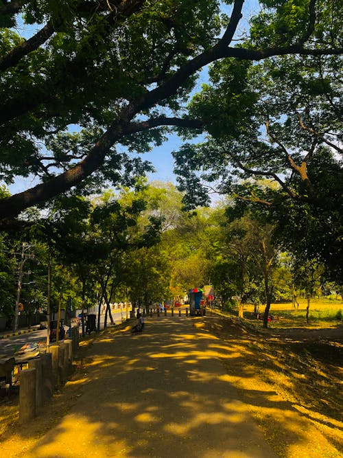 güneşli, güneşli gün, ileriye giden yol içeren Ücretsiz stok fotoğraf