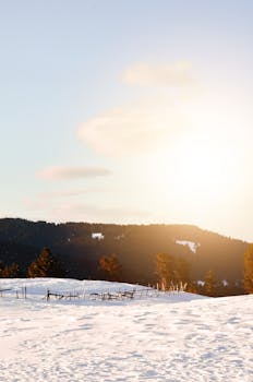 日出时分，冬日景象宁静，有雪、树木和山脉