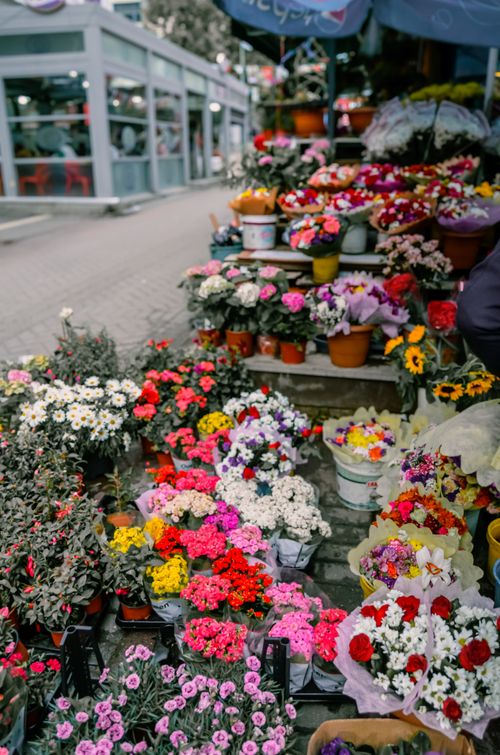 Free Colorful flower market displaying a variety of blooms in Ankara, Türkiye during spring. Stock Photo