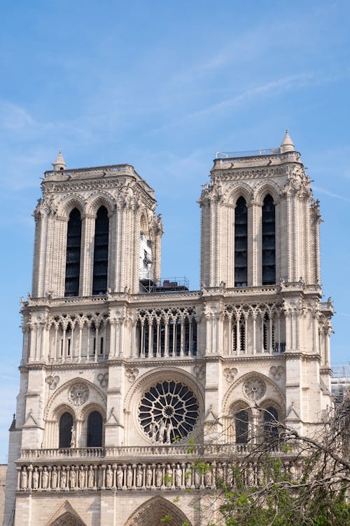 Free stock photo of cathedral of our lady, france, notre dame