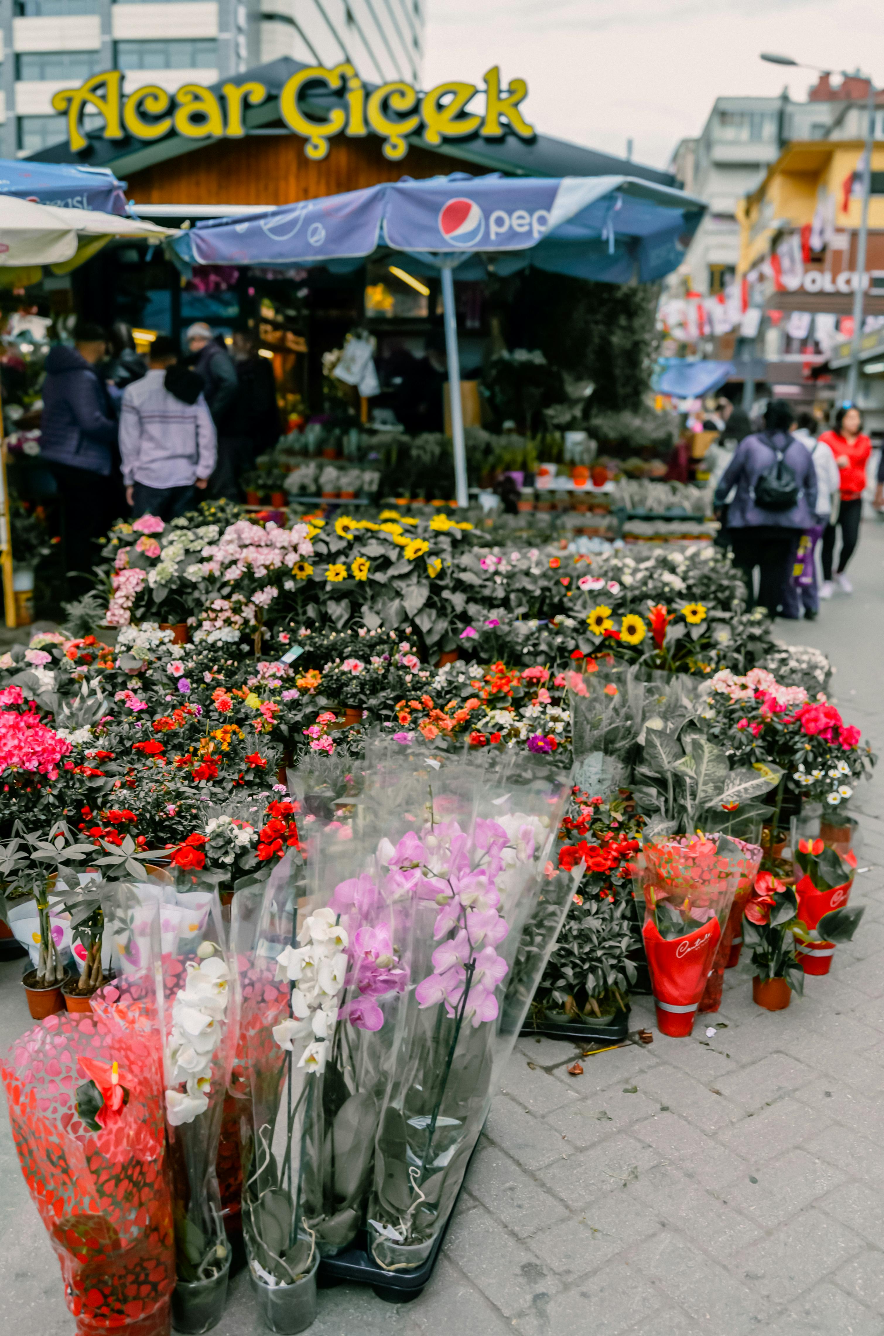 Colorful flower market in Ankara, showcasing fresh blooms in a bustling street setting.