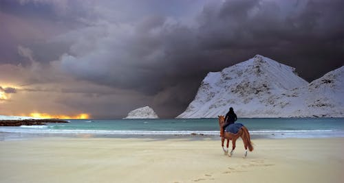 Fotobanka s bezplatnými fotkami na tému breh, cestovať, chovateľ koní