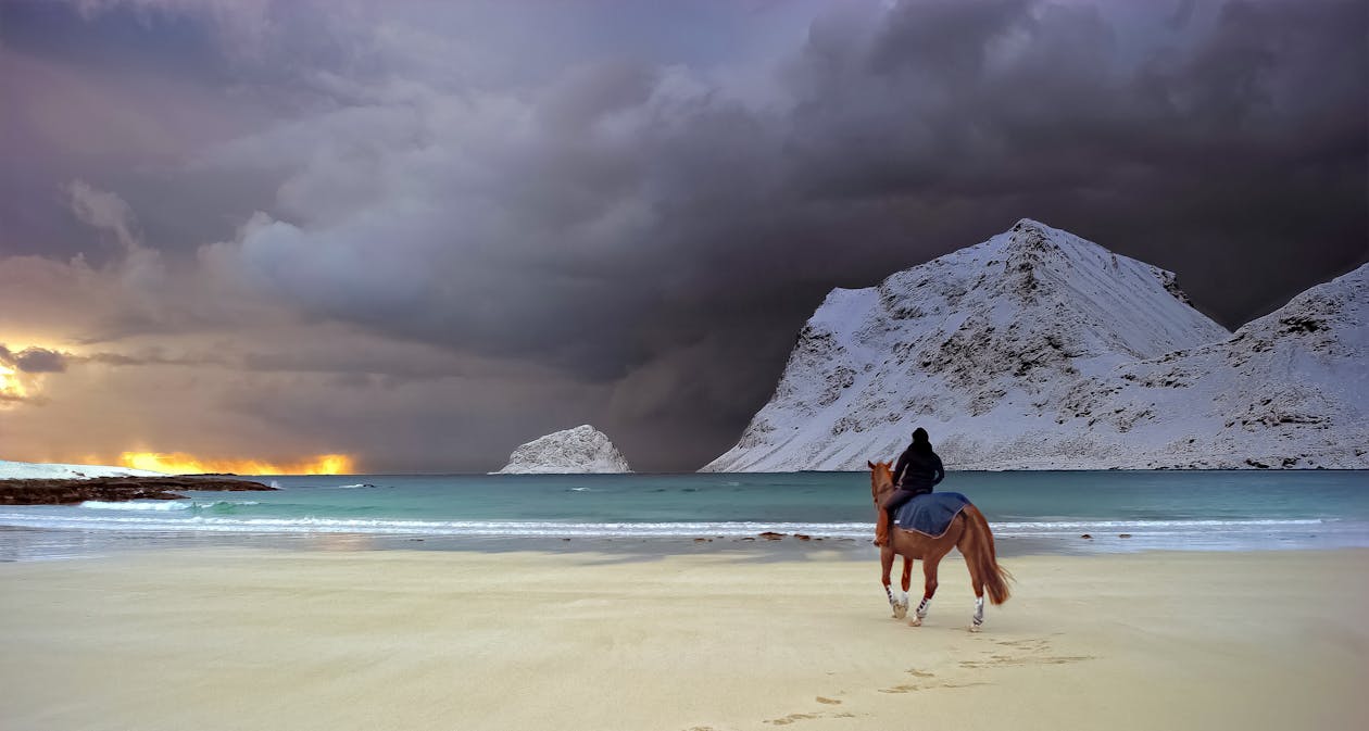 Person Riding Brown Horse