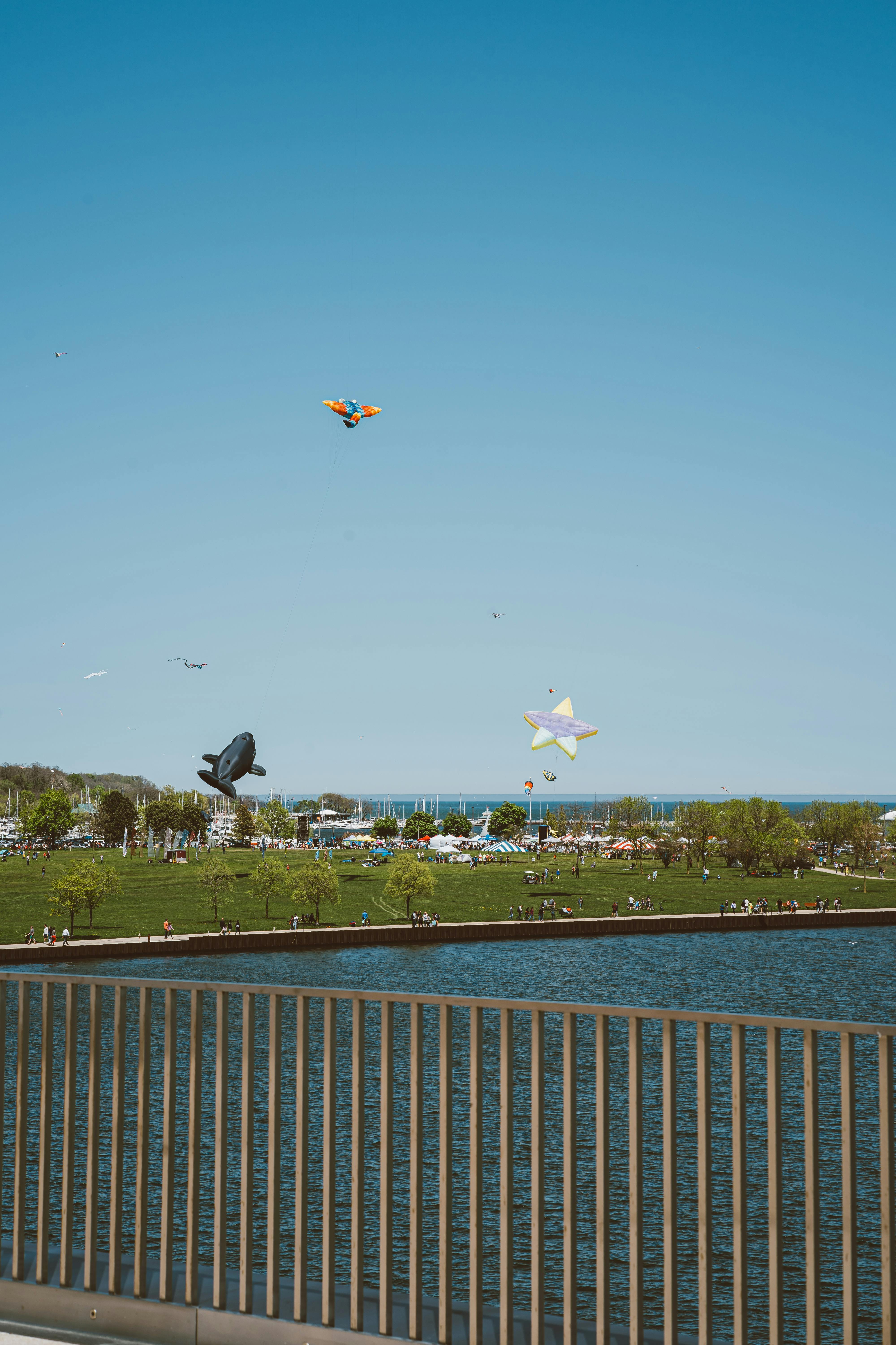 Vibrant kites soaring over a sunny park near a serene lake, capturing a lively outdoor scene.