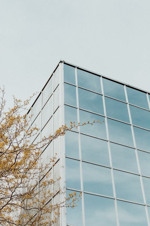 Paisaje De Ventana De Edificio Azul