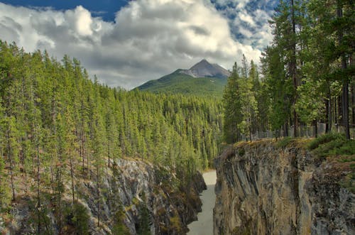 Kostnadsfri bild av Alberta, athabasca, athabasca faller