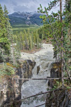 在加拿大艾伯塔省，探索郁郁葱葱的森林和山脉中令人惊叹的瀑布