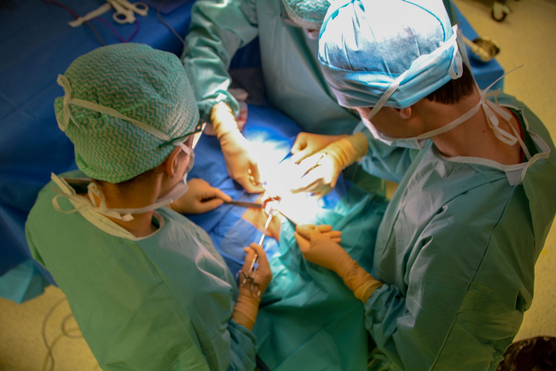 UMCG wil orgaancentrum voor reparatie en beoordeling donororganen