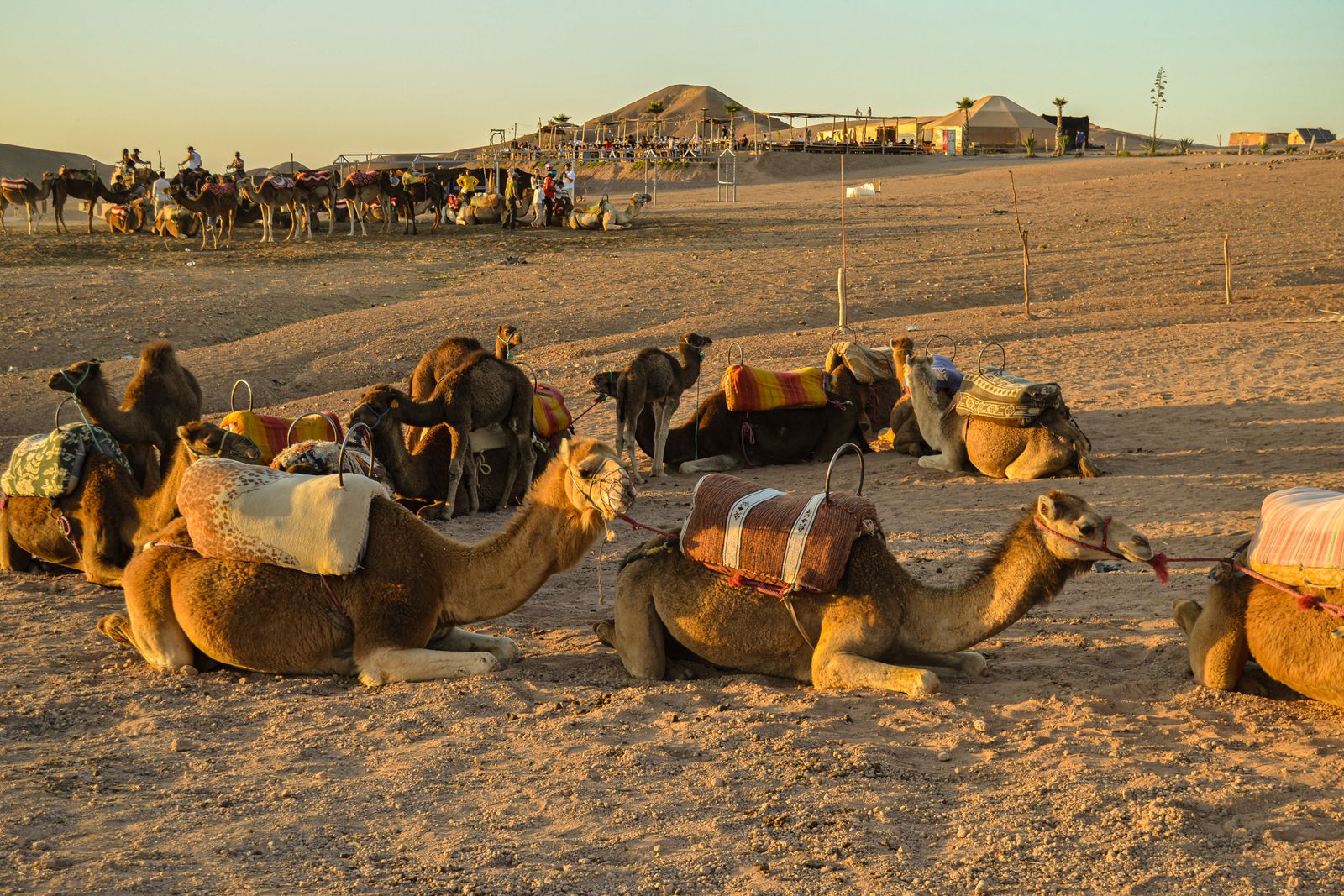 Agafay Desert Sunset Camel Ride & Dinner