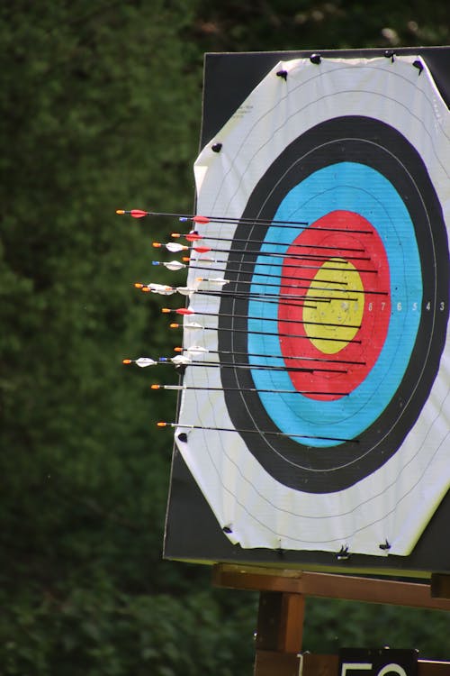 Free stock photo of archery, arrows, meet