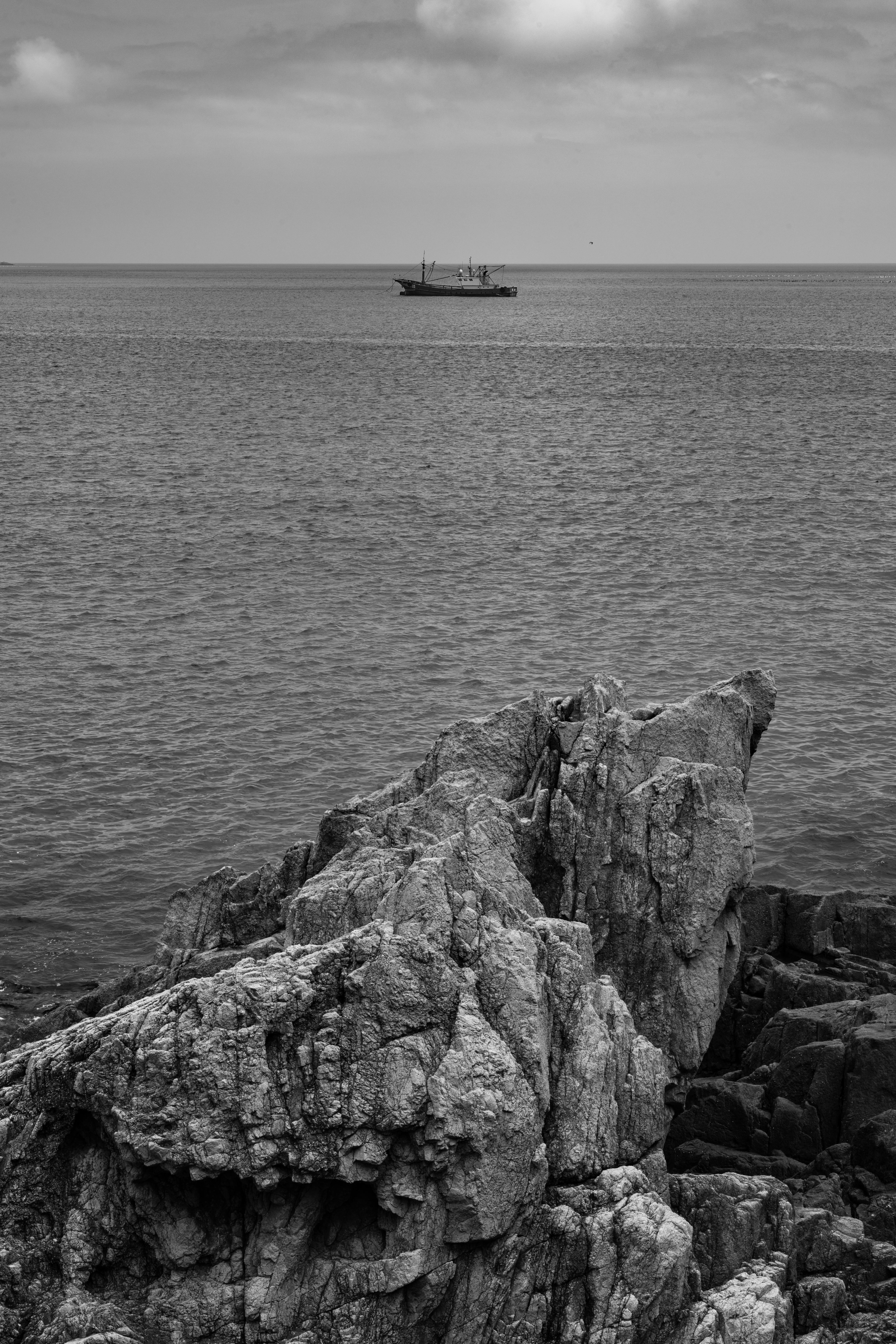 A serene black and white ocean scene with a boat and rocky shoreline.