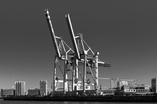 Free A monochrome view of industrial cranes against Hamburg's modern harbor skyline. Stock Photo