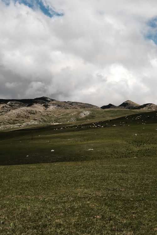 Free Stunning view of mountains and grasslands under a cloudy sky in Žabljak Montenegro. Stock Photo