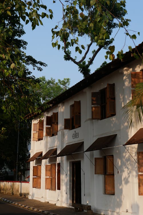 random lady · Free Stock Photo