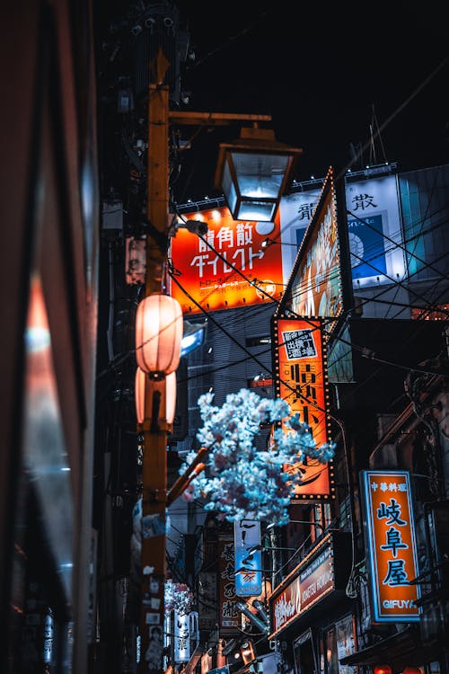 Tokyo  alley