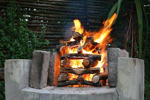 Imagine de stoc gratuită din arbust, braai, foc