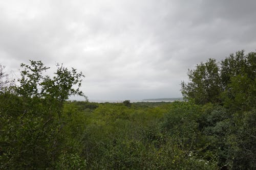 Free stock photo of landscape, nature, overcast