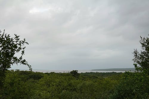 Free stock photo of landscape, nature, overcast