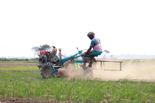 Kostnadsfri bild av åkermark, bangladesh, barn