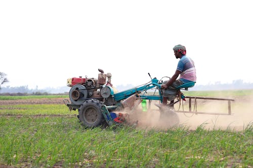 Kostnadsfri bild av åkermark, bangladesh, bondgård