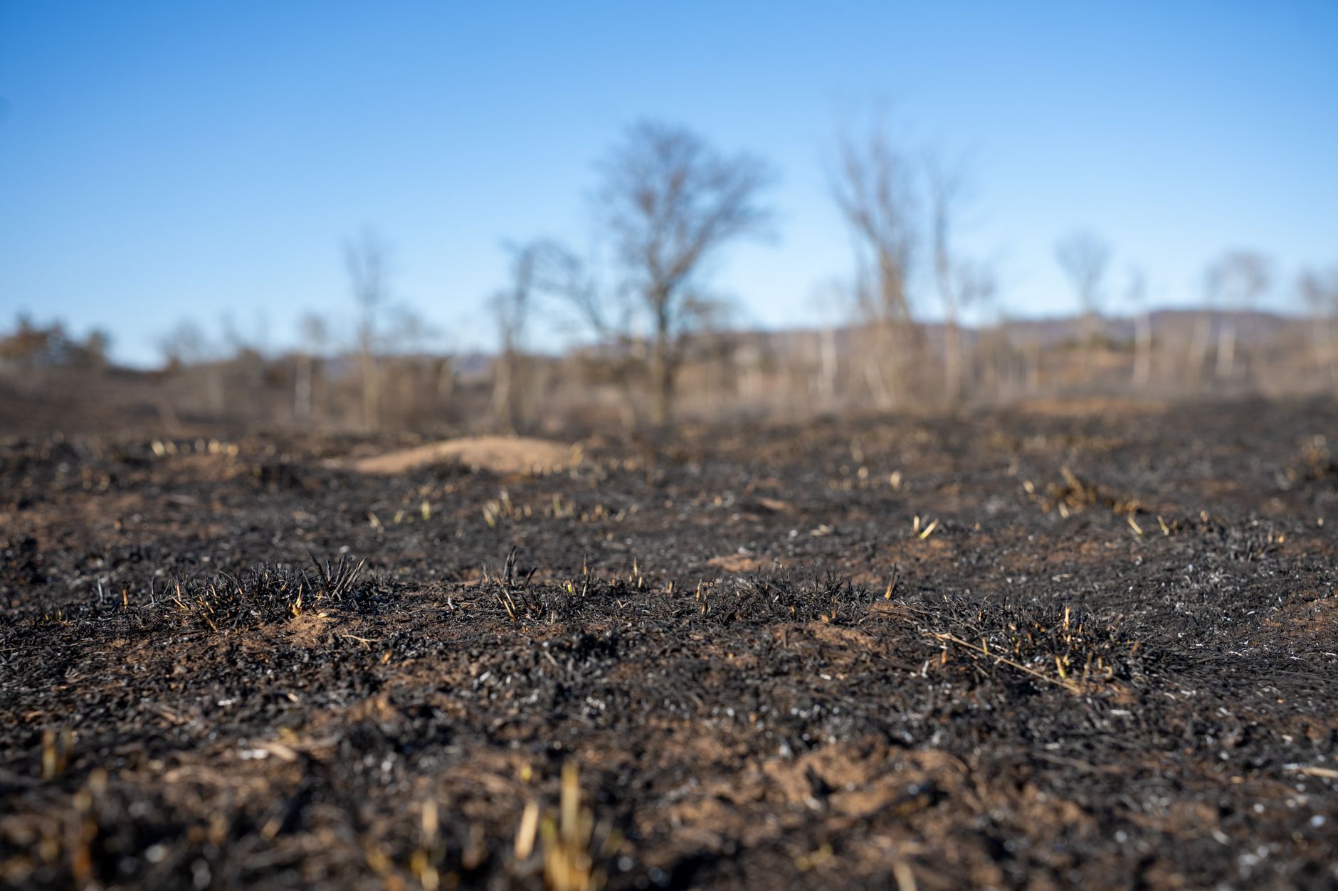 Hunedoran amendat cu 15.000 lei pentru incendierea vegetației