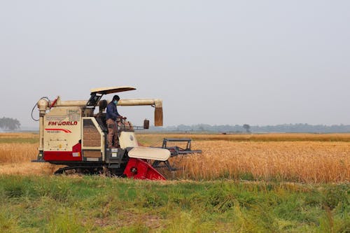 Kostnadsfri bild av åkermark, bangladesh, beskära