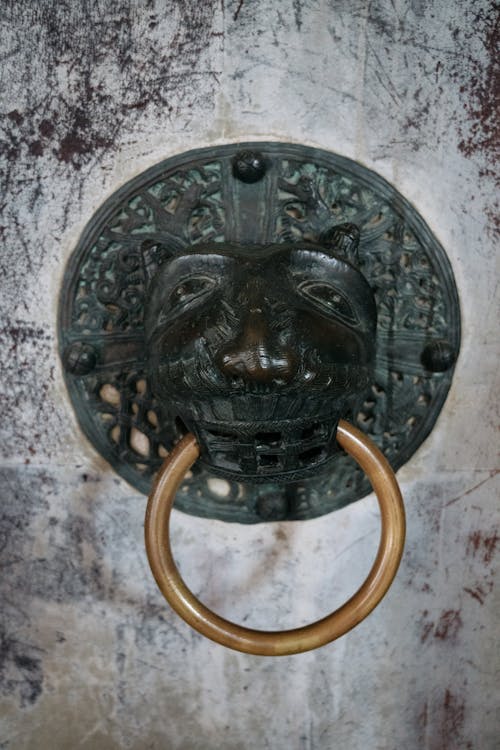 A metal door knocker with a lion head