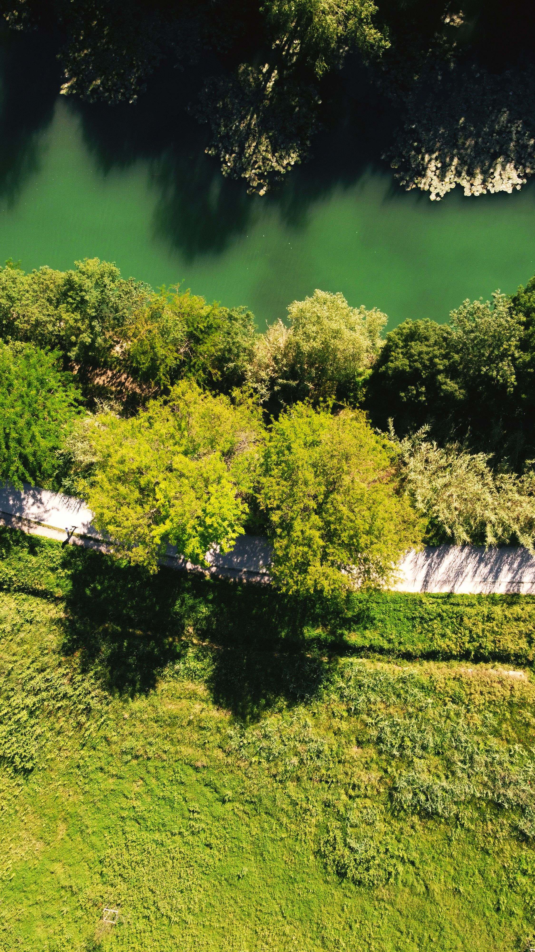 Fotomural Fotolia