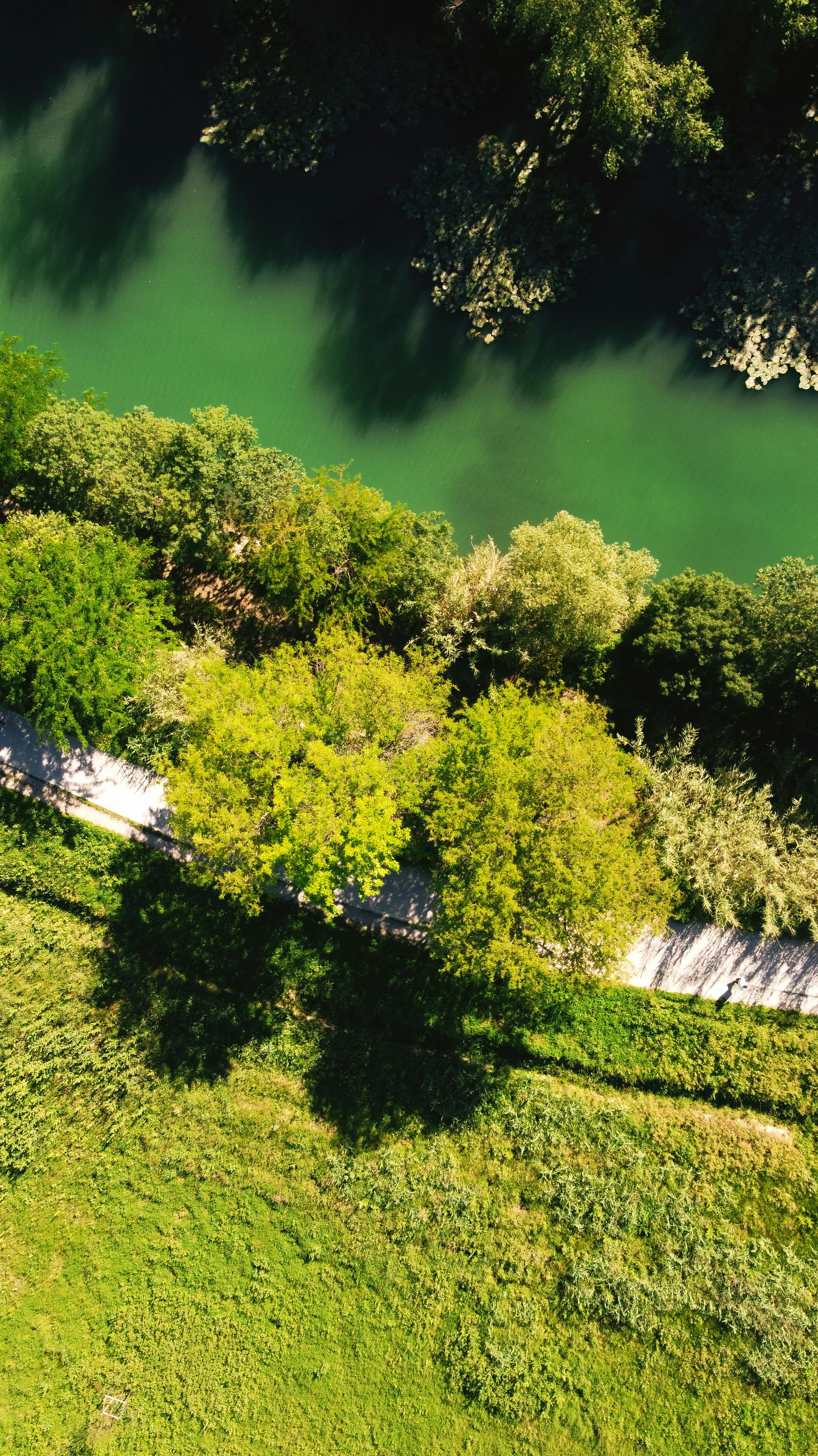 Understanding Resilience: The True Essence of Sustainability Unveiled