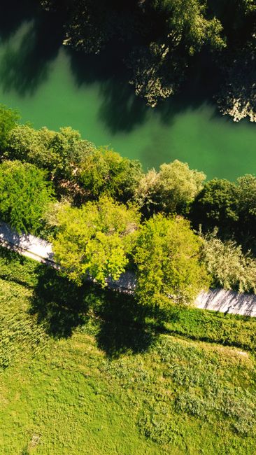Top-down shot of a winding river surrounded by vibrant green trees and grass on a sunny summer day.