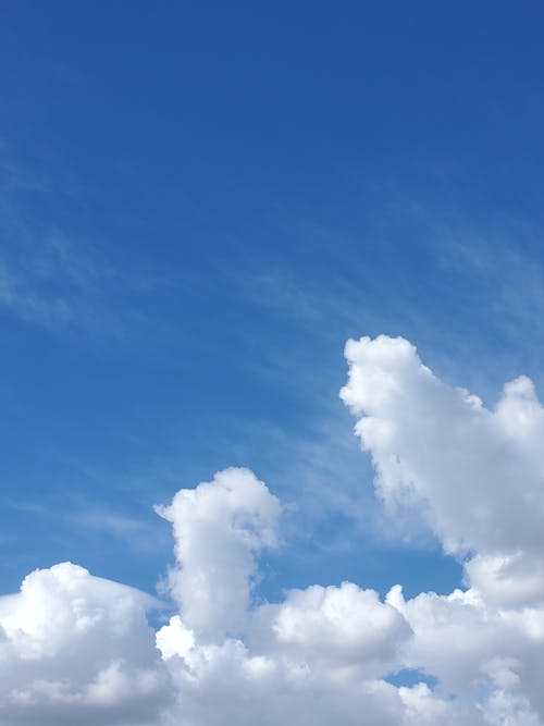 Immagine gratuita di cielo azzurro, molla, nuvole bianche e gonfie