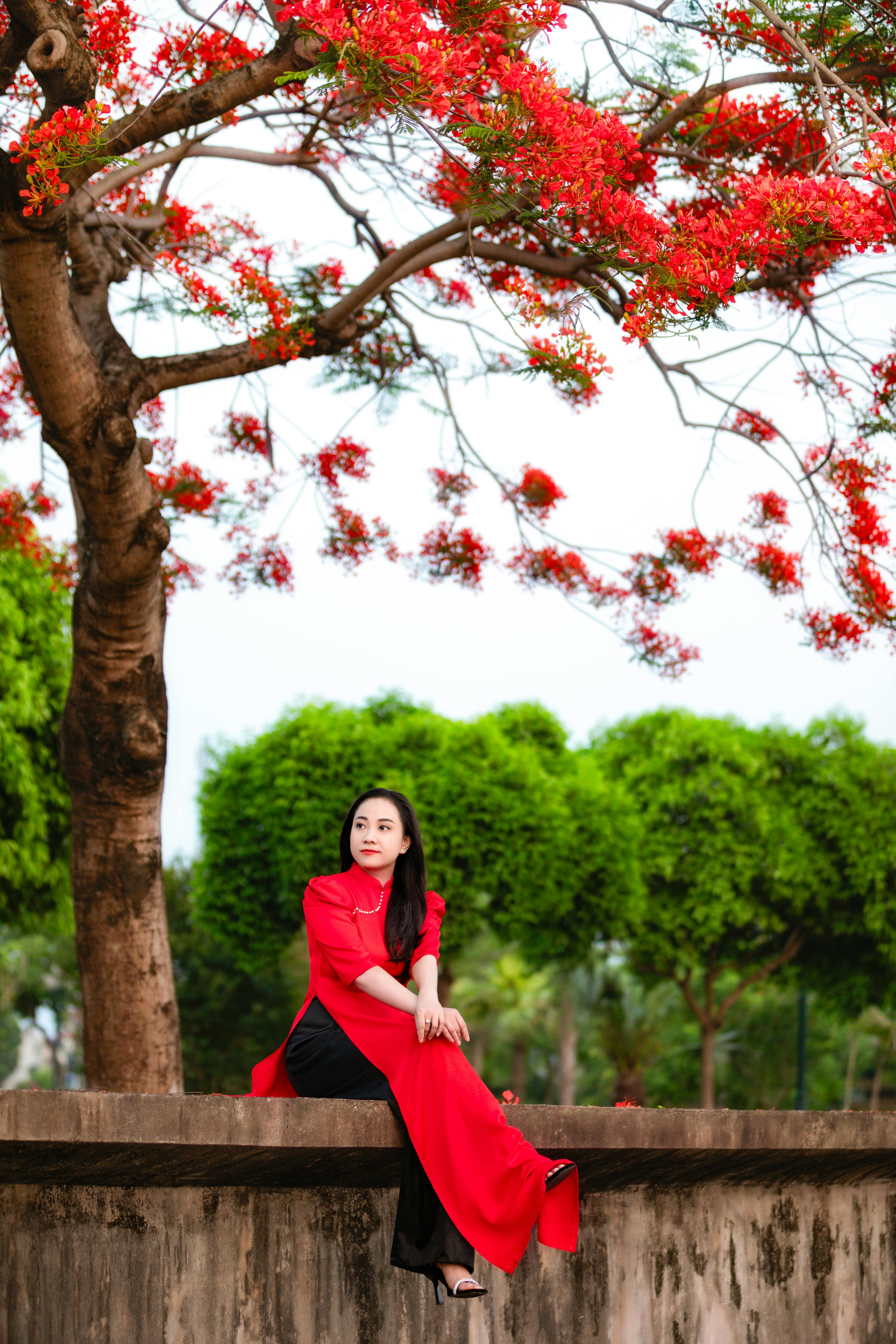 Elegant woman in red ao dai sitting by a tree with vibrant blooms.