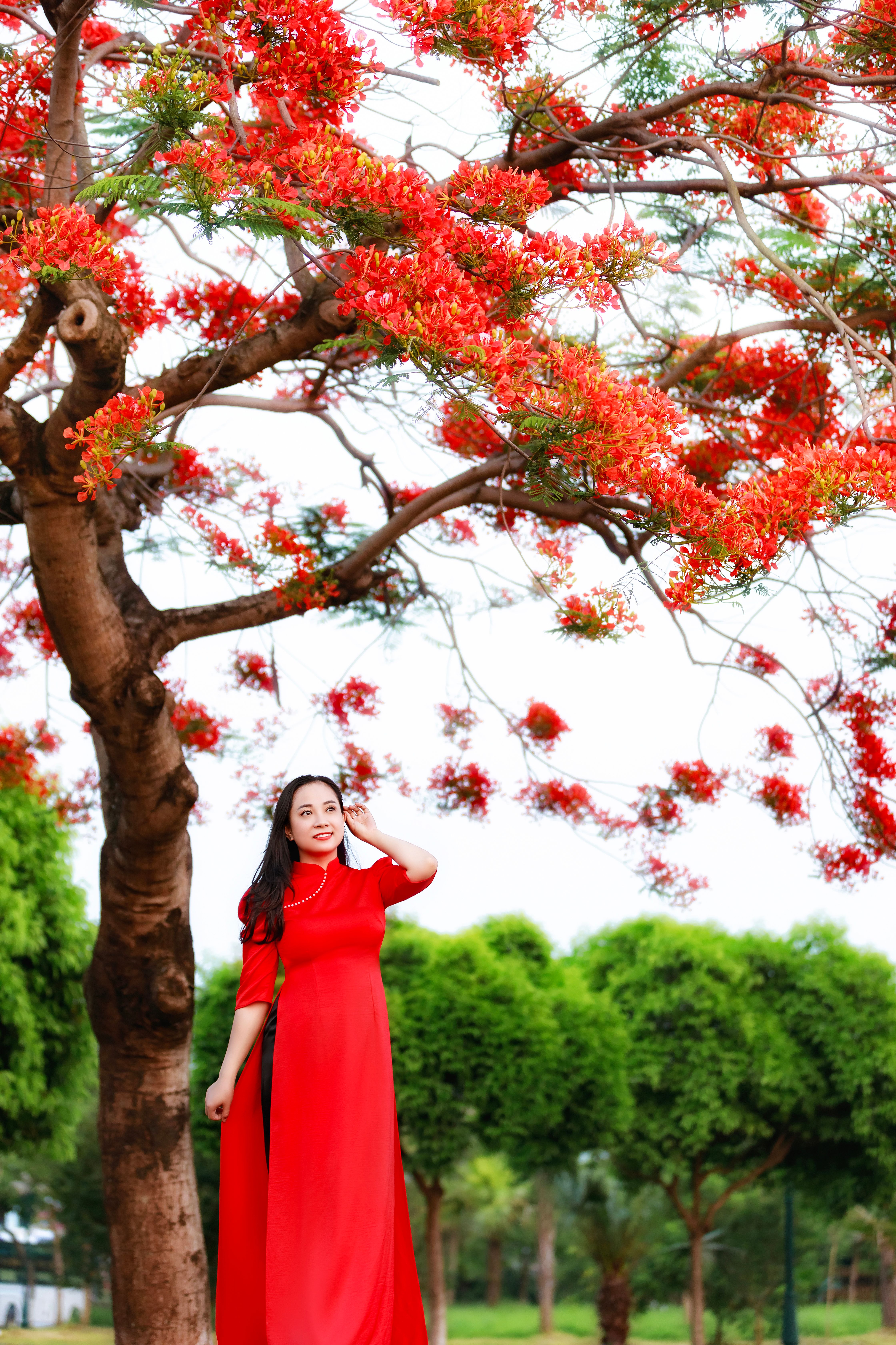 Woman in vibrant red dress standing under a flowering tree in springtime.
