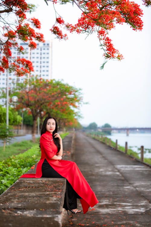 A woman in red sitting on a wall near a tree