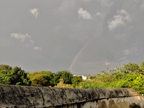 Somewhere in Udaipur India