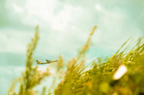 Airplane Flying Above Green Grasses