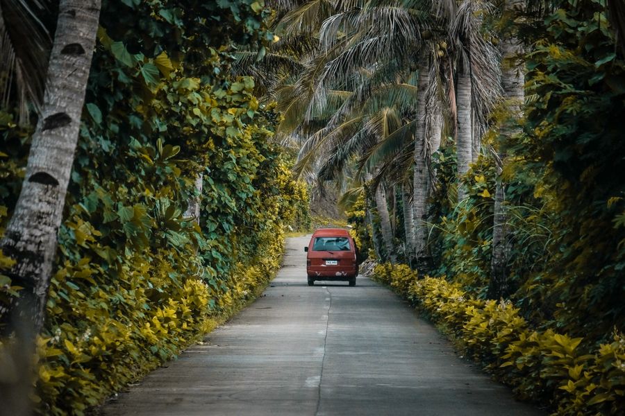 Service truck driving through Tampa Bay palm-lined road — Ironwood Tree Co. fleet