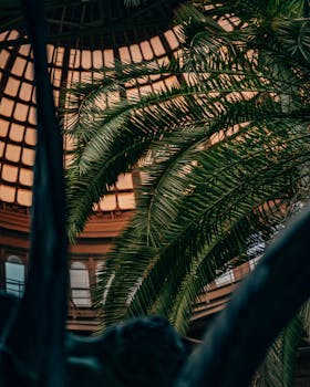 在现代玻璃圆顶下，棕榈叶的戏剧性景观展示了哥本哈根的建筑之美